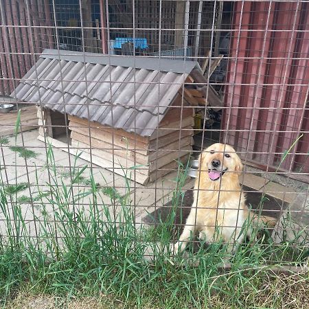 Privat Luna Lubela Екстер'єр фото