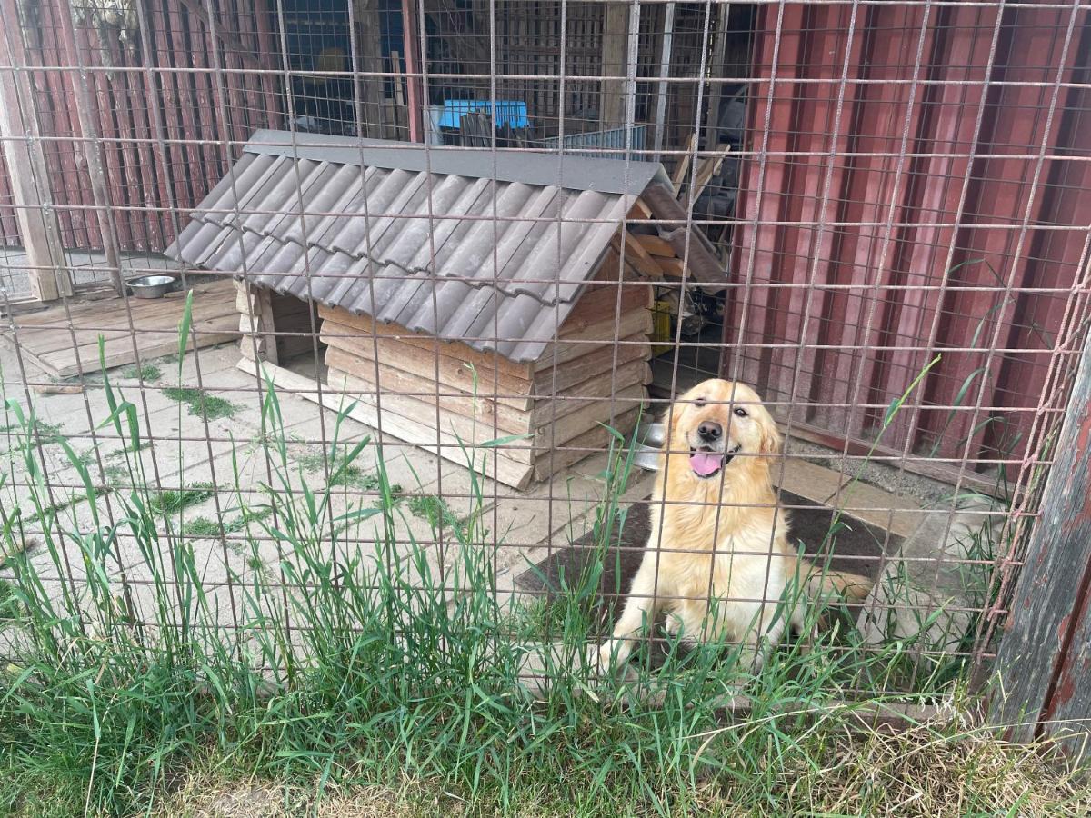 Privat Luna Lubela Екстер'єр фото